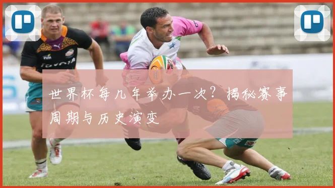 世界杯每几年举办一次？揭秘赛事周期与历史演变