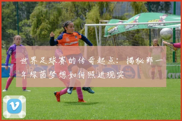 世界足球赛的传奇起点:揭秘那一年绿茵梦想如何照进现实
