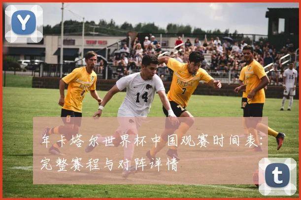年卡塔尔世界杯中国观赛时间表：完整赛程与对阵详情